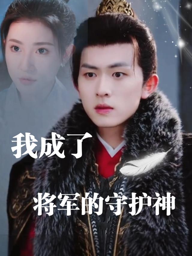 我成了将军的守护神封面