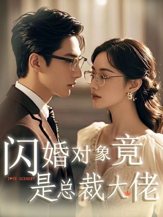 闪婚对象竟是总裁大佬封面