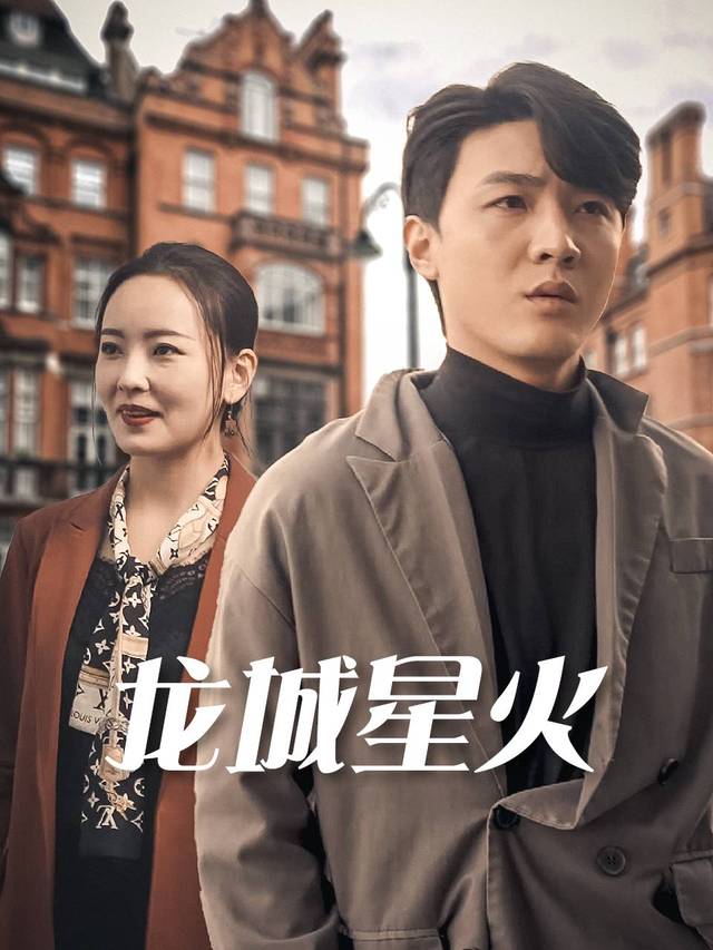 龙城星火封面