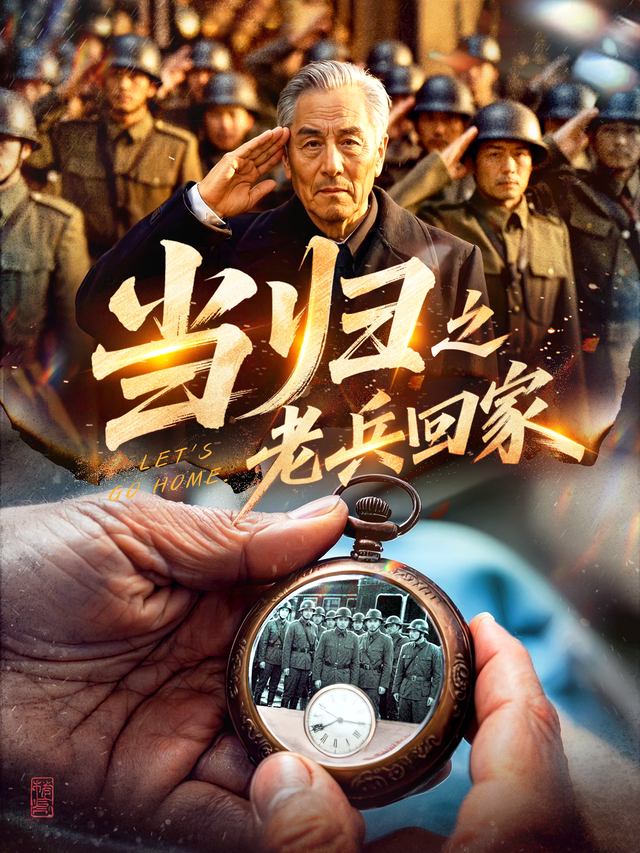 当归之老兵回家封面