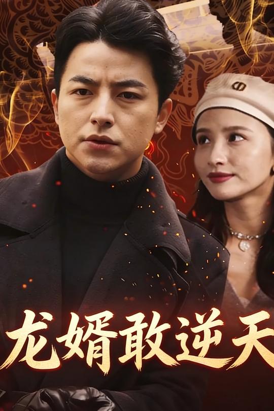龙婿敢逆天封面