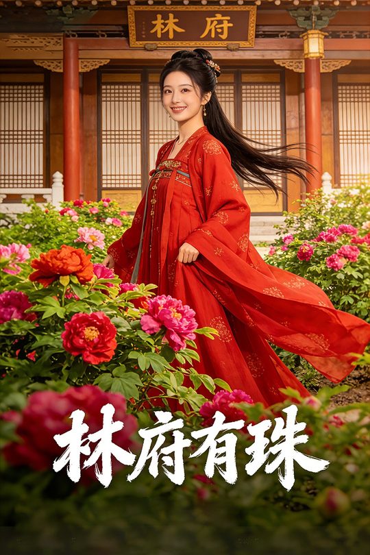 林府有珠封面