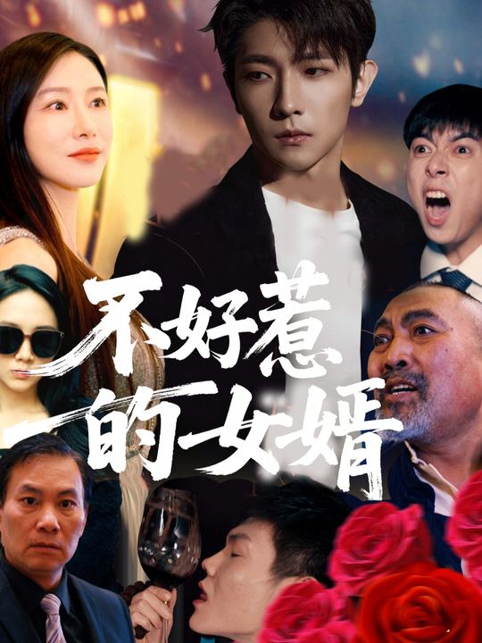 不好惹的女婿封面