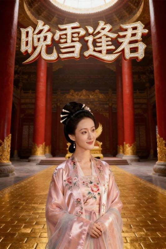 晚雪逢君封面