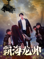 霸海龙帅封面