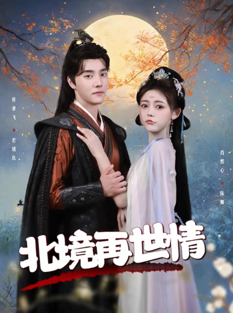 北境再世情封面