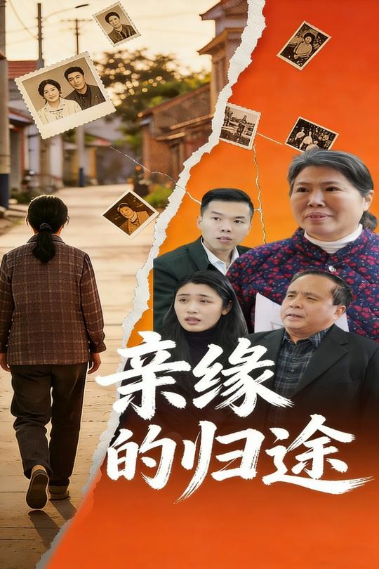 亲缘的归途封面