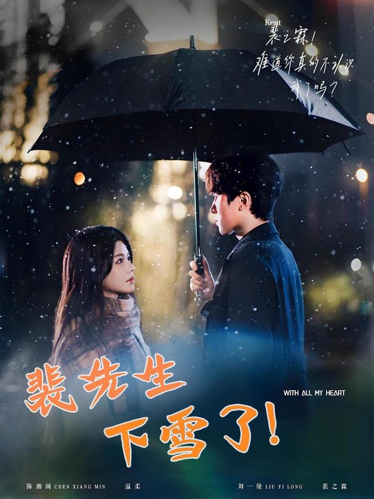 裴先生,下雪了!封面