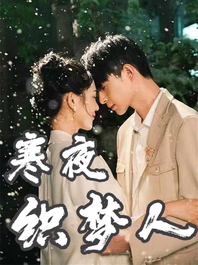 寒夜织梦人封面