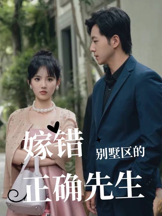 嫁错别墅区的正确先生封面
