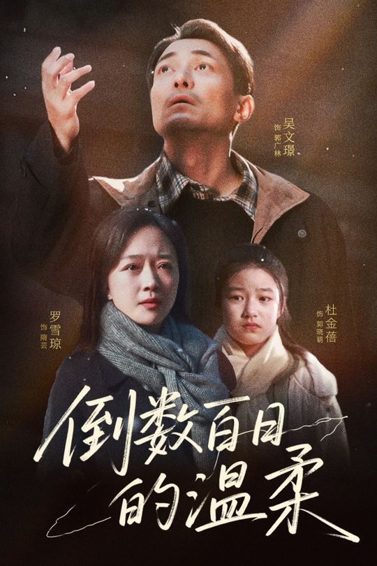 倒数百日的温柔封面