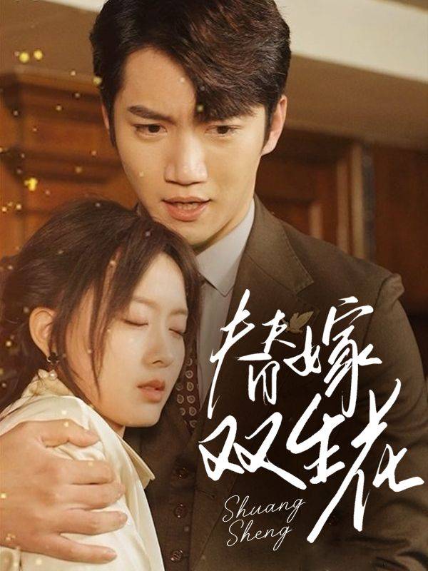 替嫁双生花封面
