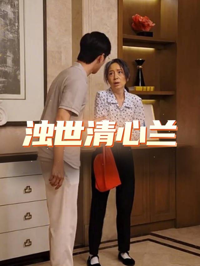浊世清心兰封面