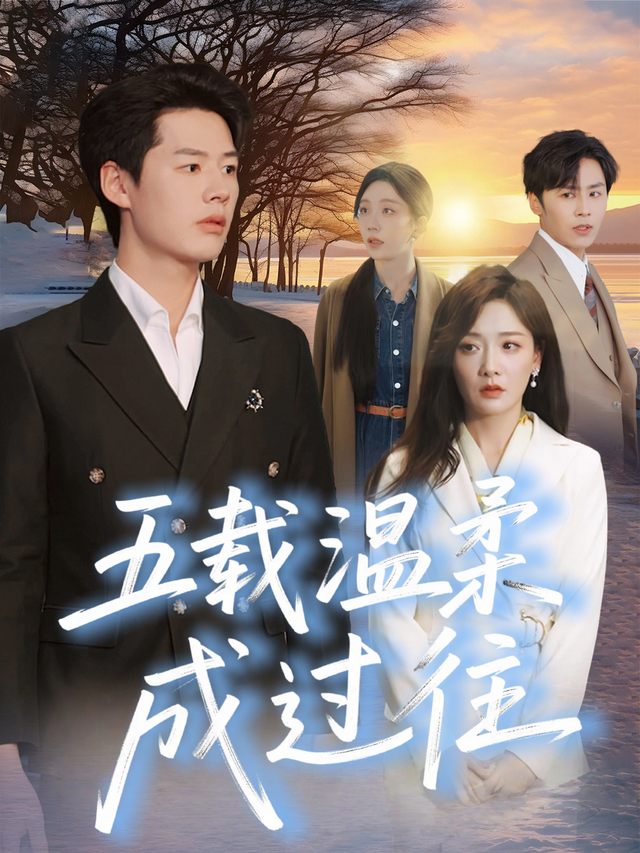 五载温柔成过往封面