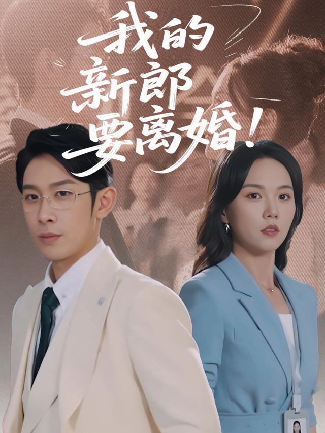 我的新郎要离婚封面