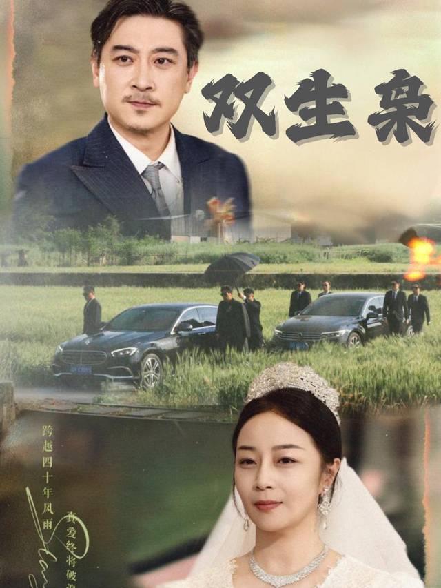 双生枭封面