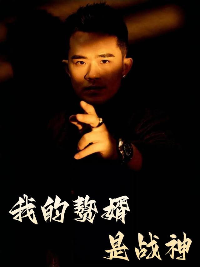 我的赘婿是战神封面