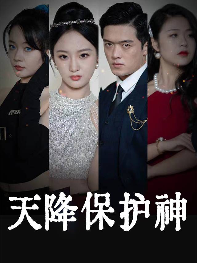 天降保护神封面