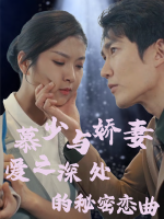 慕少与娇妻：爱之深处的秘密恋曲封面