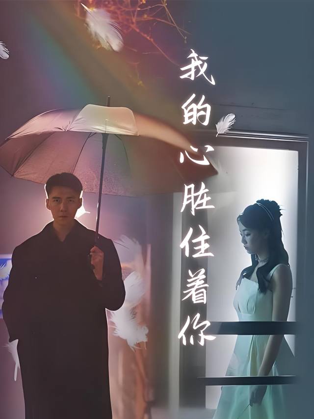 我的心脏住着你封面