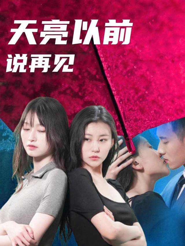 天亮前说再见封面