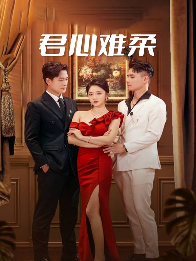 君心难柔封面