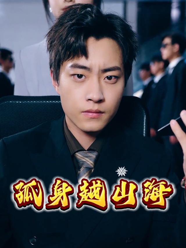 孤身越山海封面