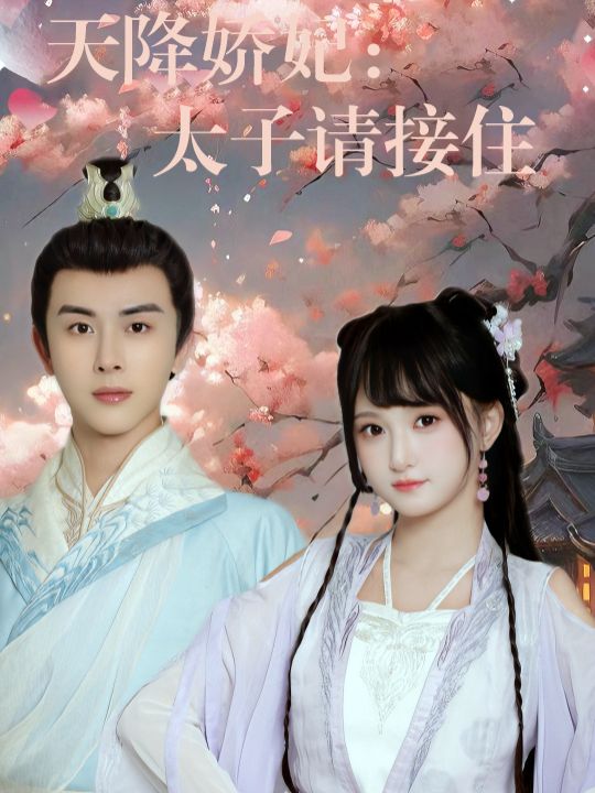 天降娇妃:太子请接住封面