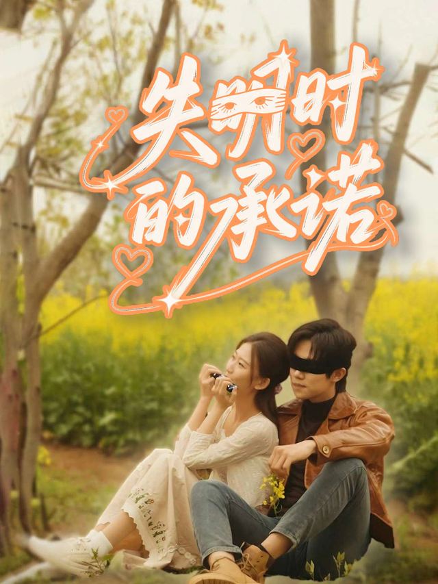 失明时的承诺封面