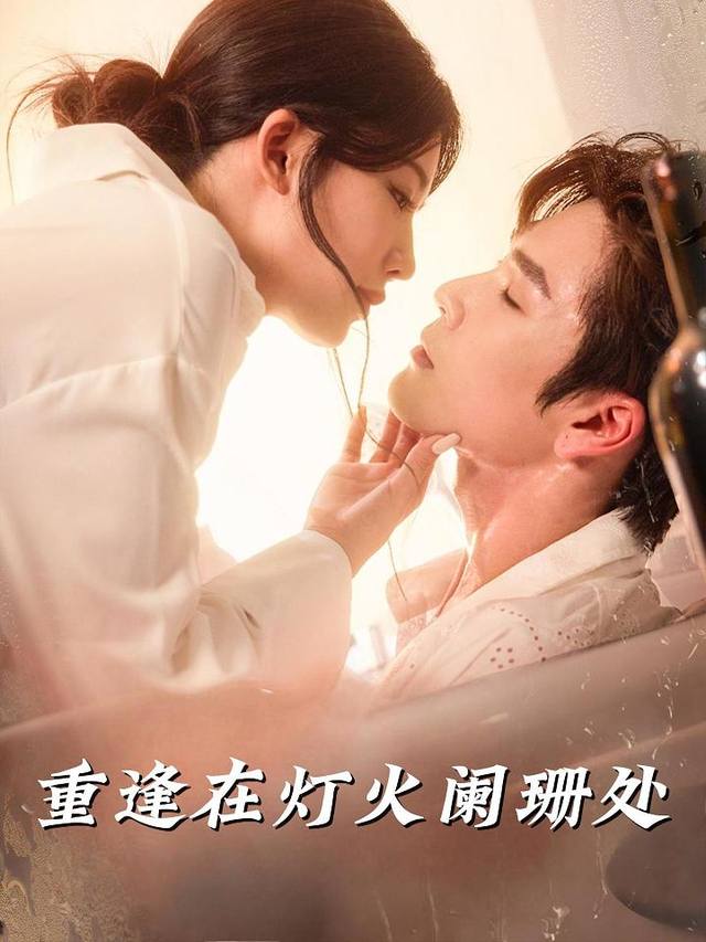 重逢在灯火阑珊处封面