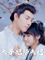 太子妃降夫记封面