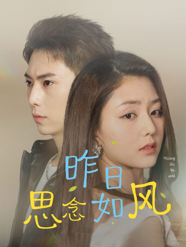 昨日思念如风封面