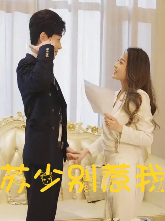 苏少别惹我封面