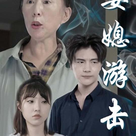 婆媳游击战封面