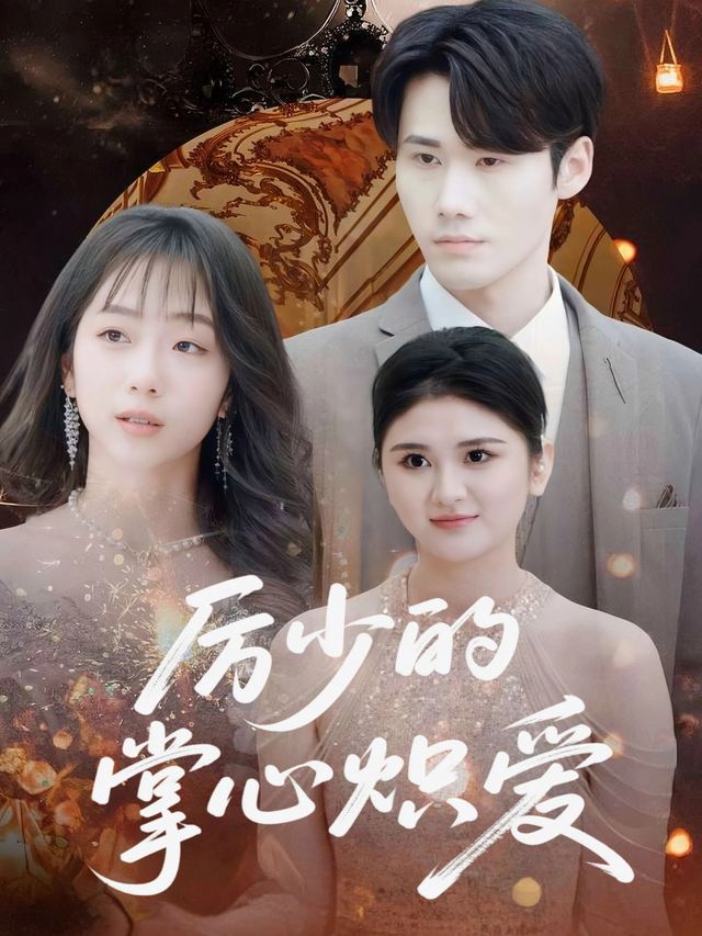 厉少的掌心炽爱封面