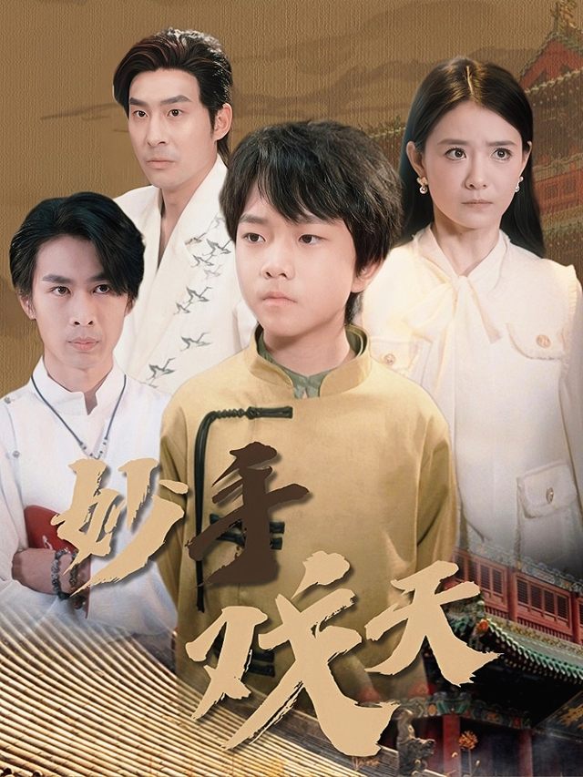 妙手戏天封面