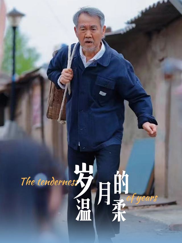 岁月的温柔封面
