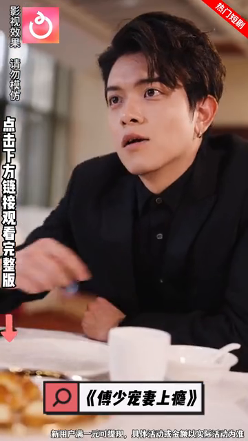 傅少宠妻上瘾封面