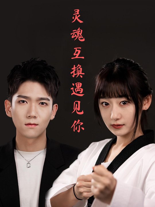 灵魂互换遇见你封面
