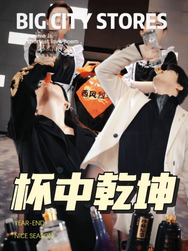 杯中乾坤封面