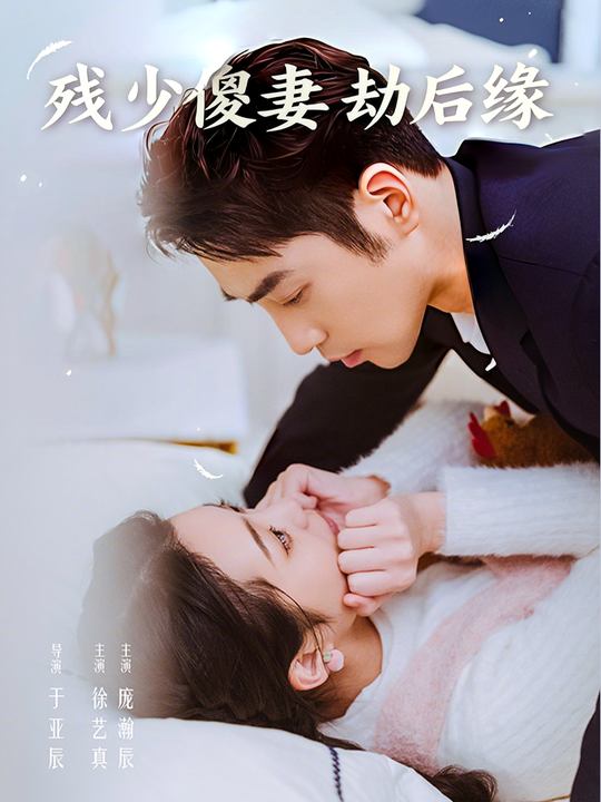 残少傻妻劫后缘封面