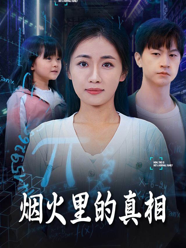 烟火里的真相封面