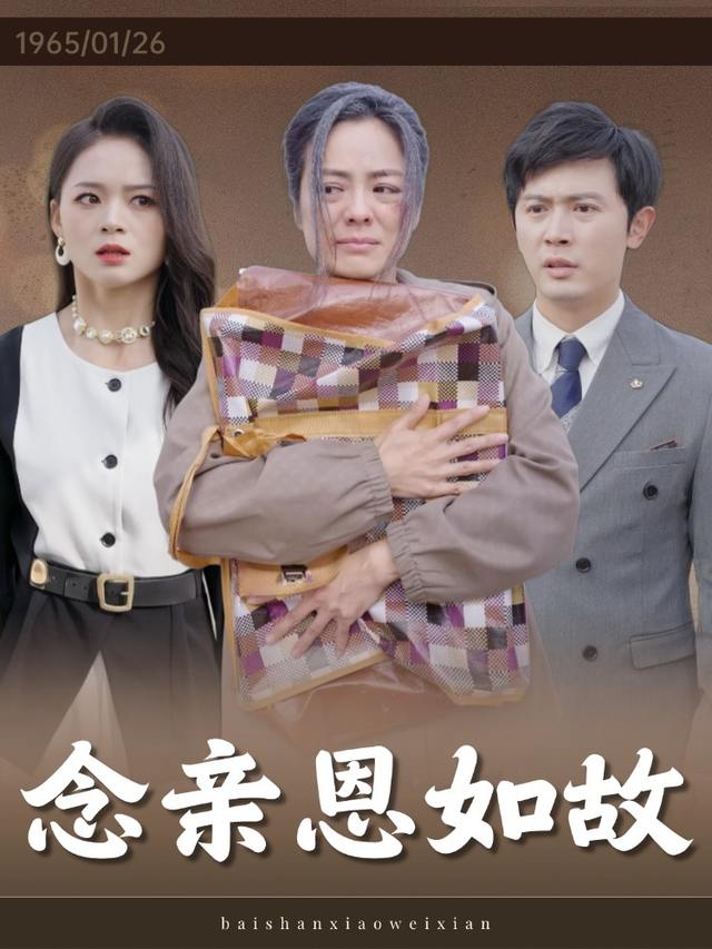 念亲恩如故封面