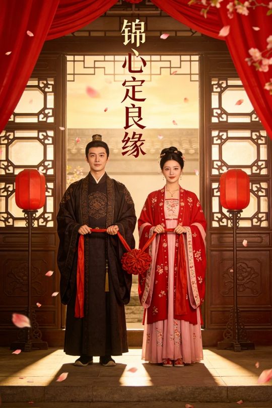 锦心定良缘封面