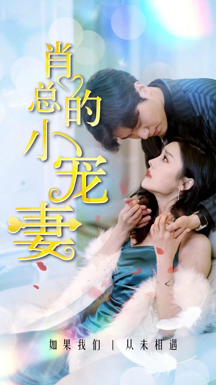 肖总的小宠妻封面