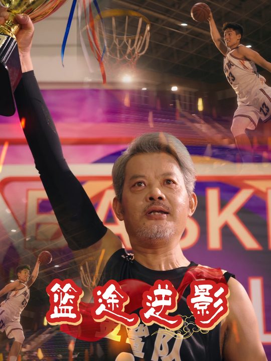 篮途逆影封面