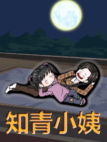 知青小姨封面