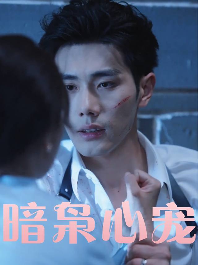 暗枭心宠封面