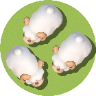 套住那只羊 图标