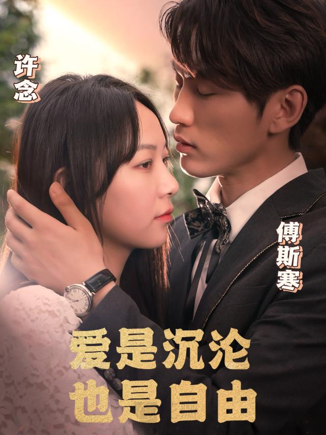 爱是沉沦,也是自由(错把温柔当深情)封面